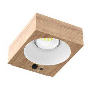 Solar Wall Light